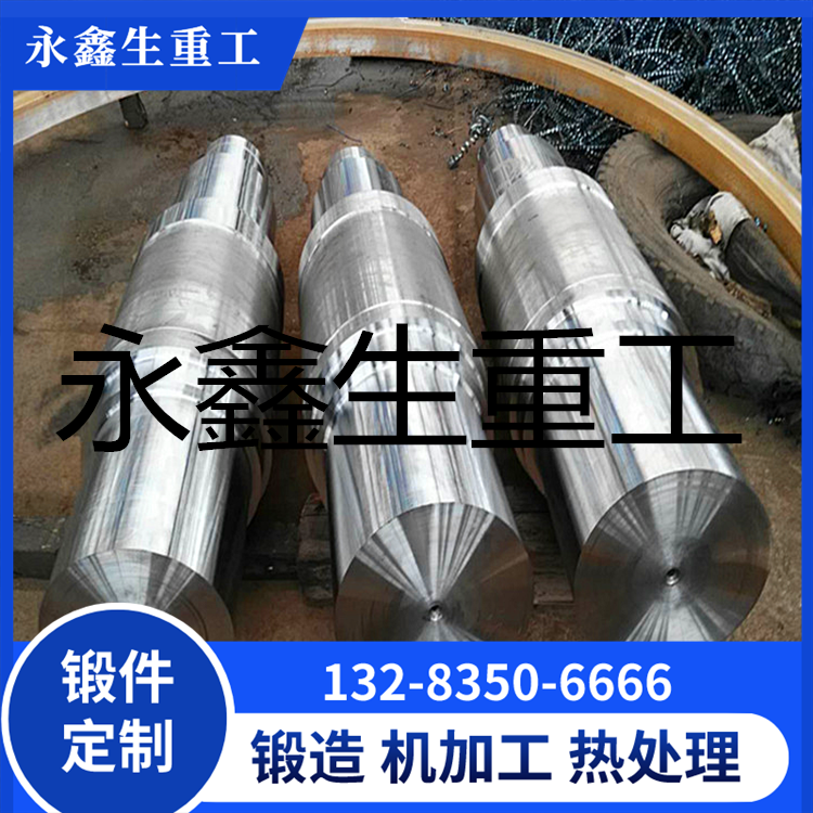 特类驱动电机轴